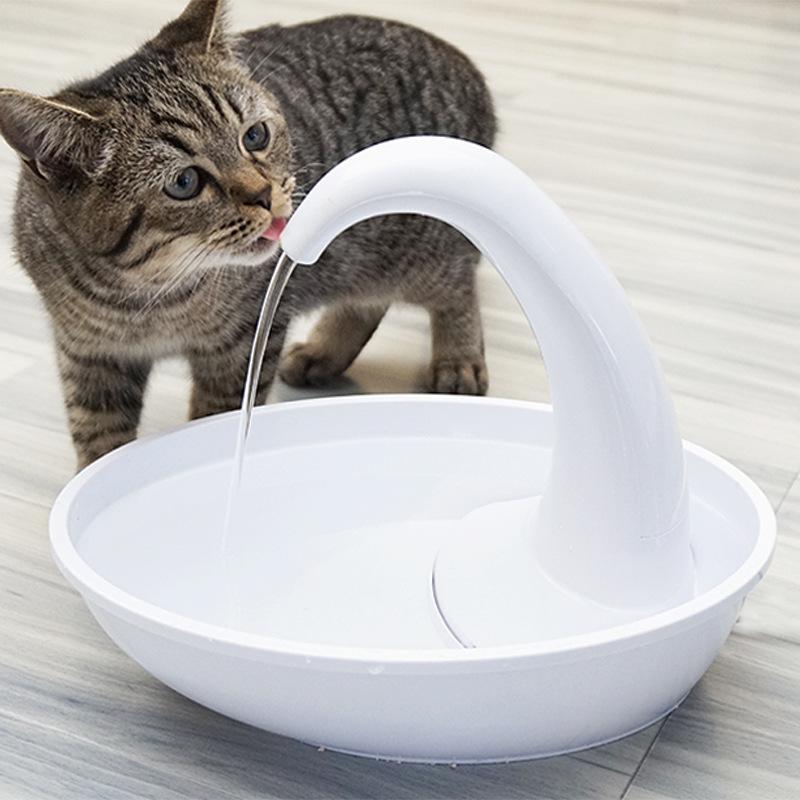 Cat Water Fountain Drinking Bowl at georgenstanleyo blog